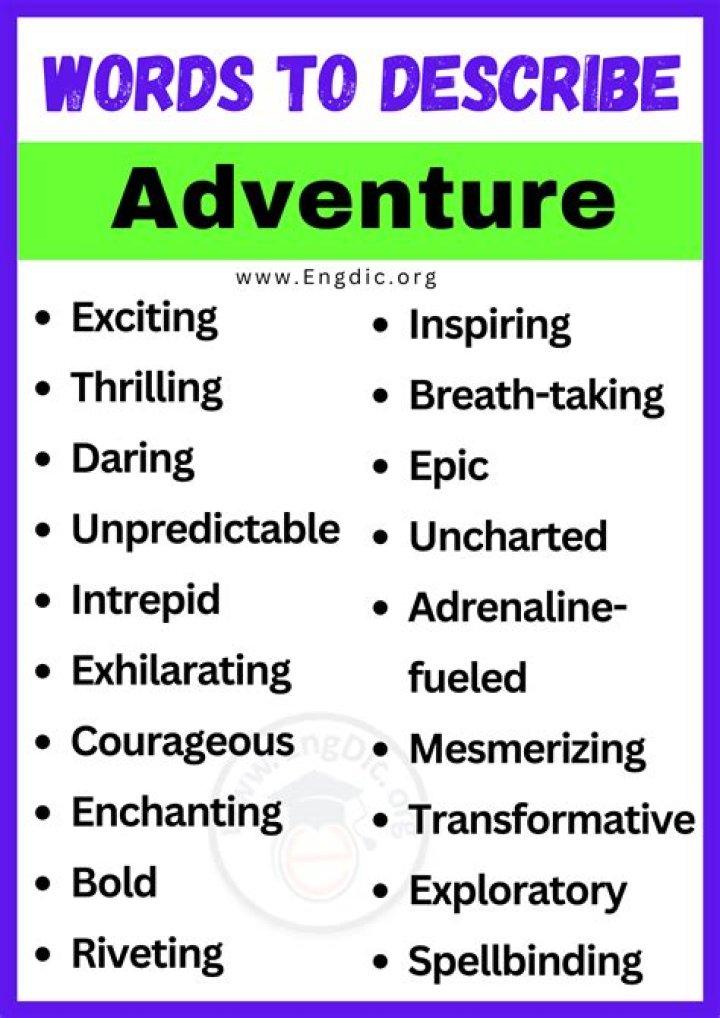 A Journey Into Adventure And Discovery