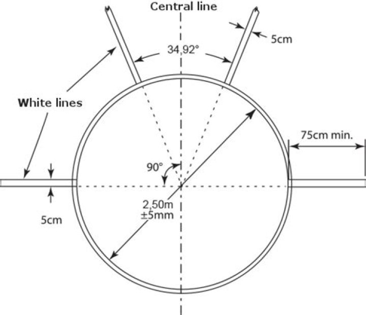 Exploring The Dimensions Of A Discus Ring