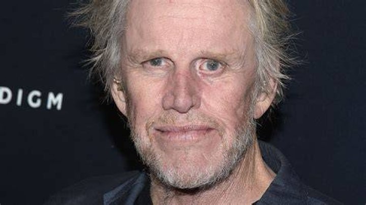Gary Busey's Health Struggles: Uncovering The Truths