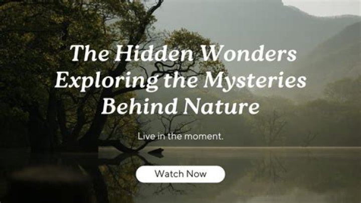 Unveiling Nature's Canvas Of Clarity And Wonder